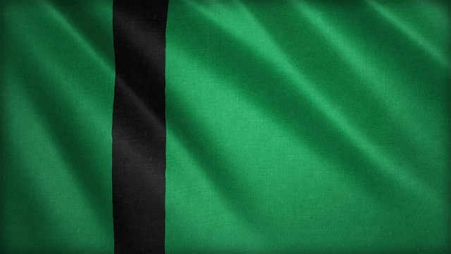 德里苏丹国