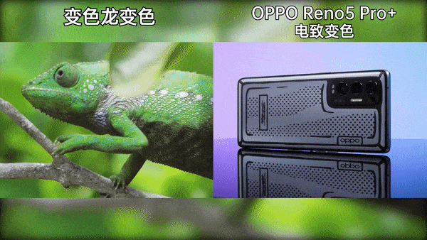 ȫ׷±ɫ OPPO Reno5 Pro+޶治 