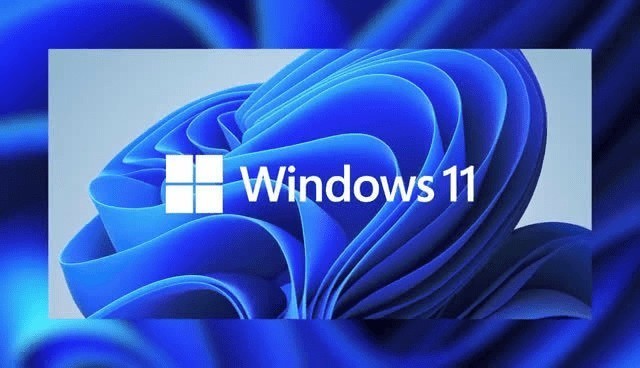 սWINDOWS11ϵͳӦѡʲô