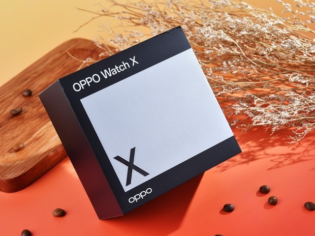 ̽ȫ޿ OPPO Watch X ͼ