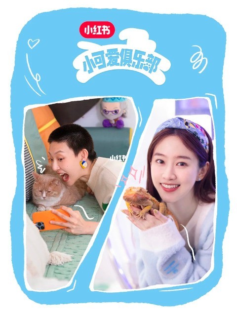小红书携上海大众Polo，以「宠物友好」开辟兴趣营销新玩法