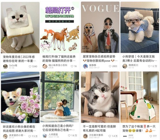 小红书携上海大众Polo，以「宠物友好」开辟兴趣营销新玩法