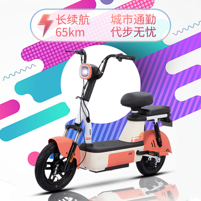 ޡ̾Ե綯ֲ48V20AH¹綯гʱŻ1499Ԫ