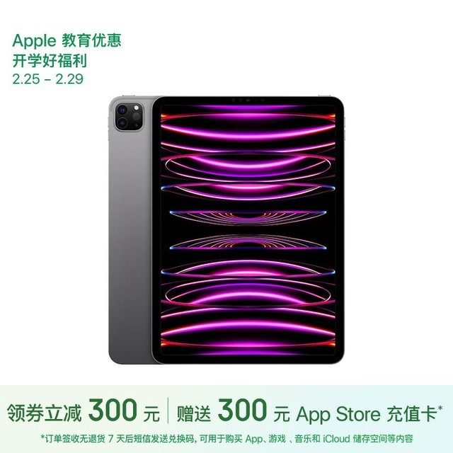 ƻ iPad Pro 11Ӣ 2022(8GB/128GB/WLAN)