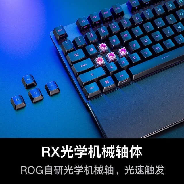 ޡROG ҹ2 RX PBTе̵ּ739Ԫ