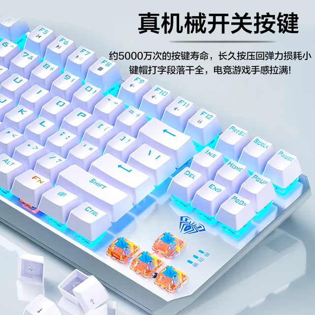ޡAULA F3087еװ99Ԫ