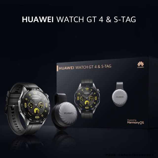 ޡΪWATCH GT4ֱ1588Ԫ999100Ż