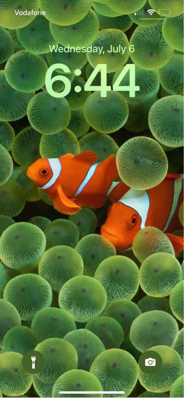 苹果在打感情牌新版ios16上线初代iphone的经典小丑鱼壁纸