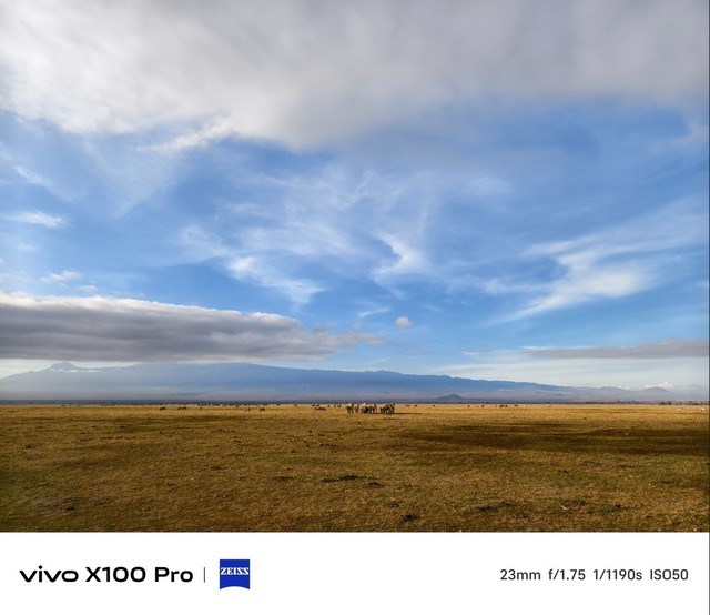 vivo X100系列影像解析：好的影像不止于全焦段出色