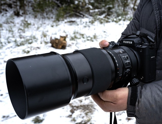  Avian ecological photography sharp tool Fuji 100 million pixel medium frame GFX100II shooting experience
