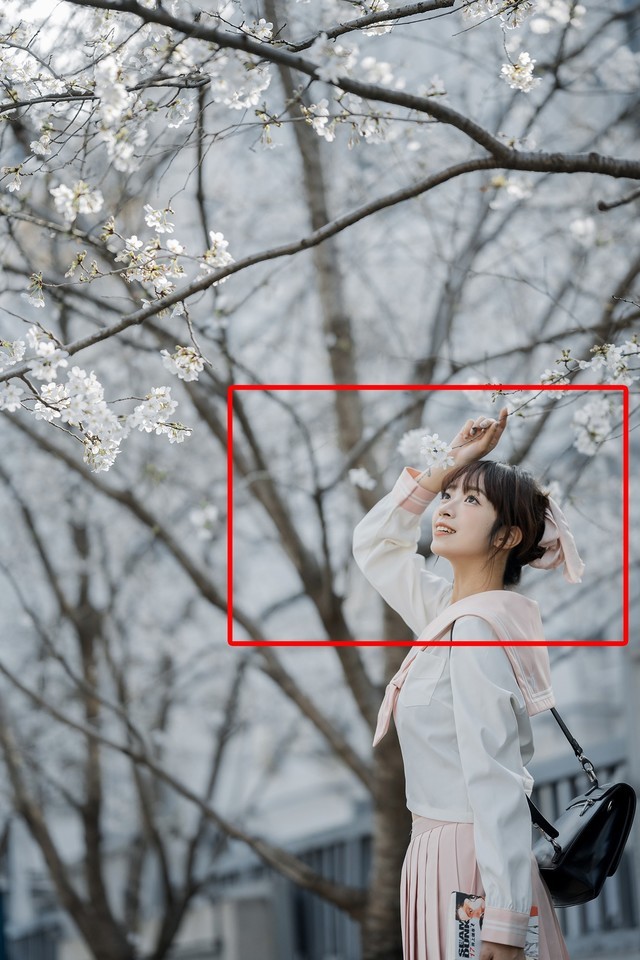 첻ܴӣ ῵Z f+Z 85mm f/1.8 Sʵ