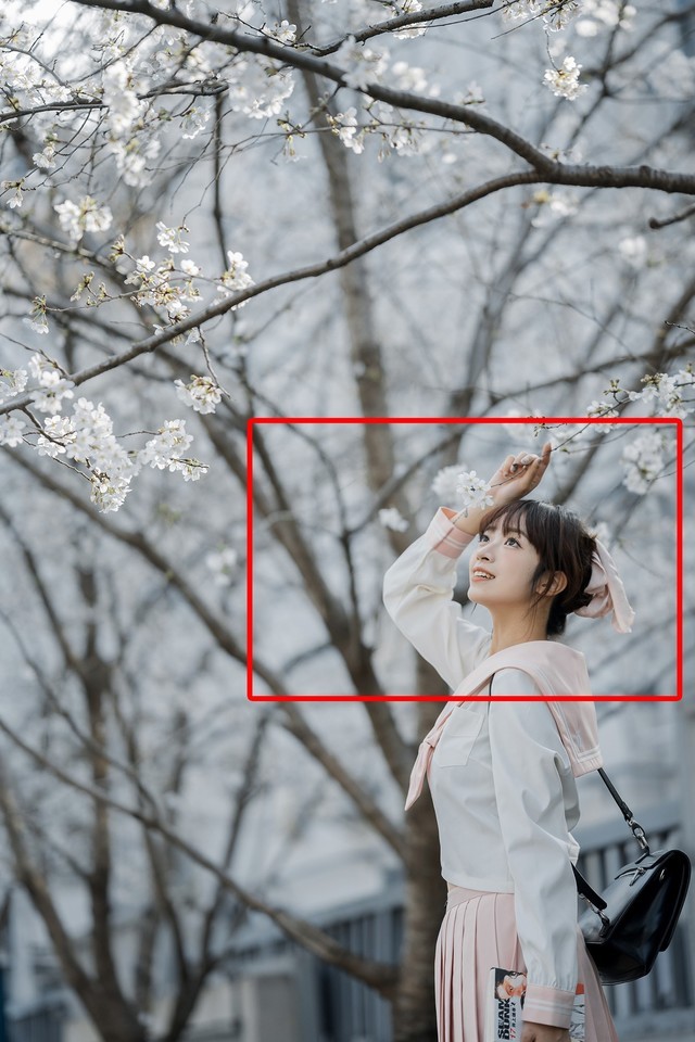  Cherry Blossom Statue in Spring Nikon Z f+Z 85mm f/1.8 S Live Shooting Experience