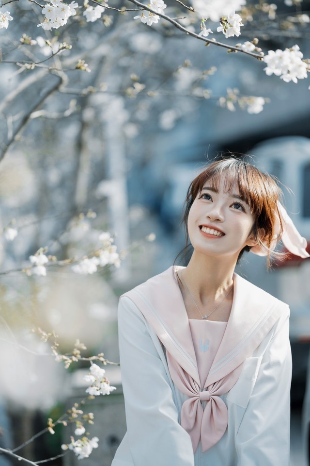  Cherry Blossom Statue in Spring Nikon Z f+Z 85mm f/1.8 S Live Shooting Experience