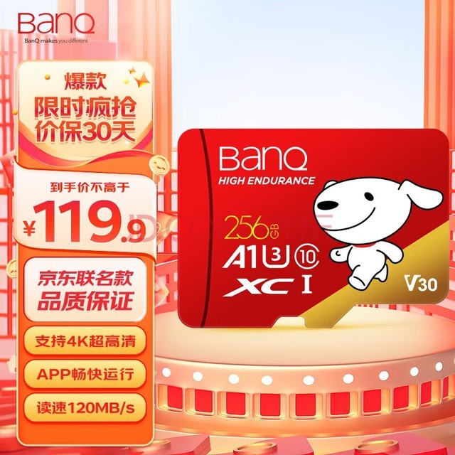 banq&JOY 256GB TFMicroSD洢U3 C10 A1 V30 4K ٿг¼&ͷֻڴ濨
