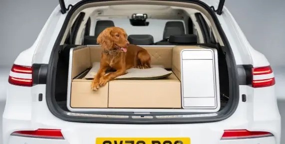 捷尼赛思推出gv70 genesis x dog概念车