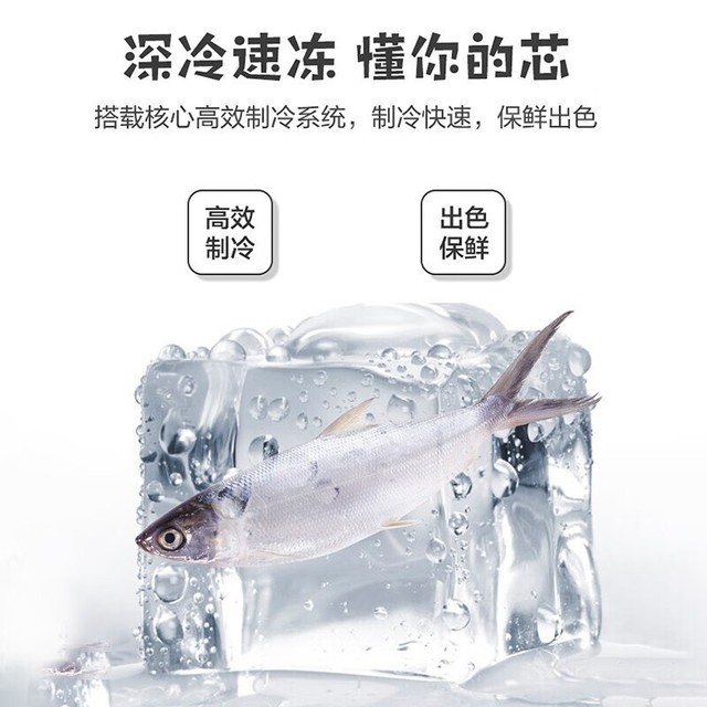 ޡ2089Ԫ 175Lʡ羲