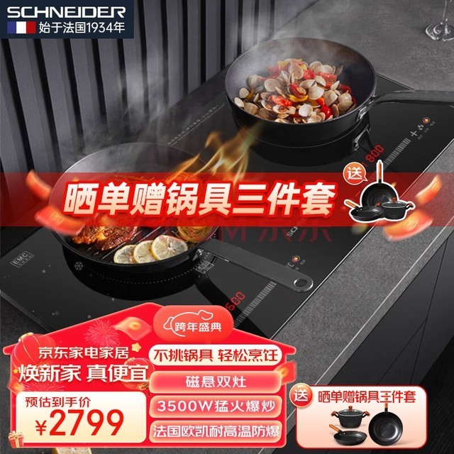 SCHNEIDERʩ͵Ƕʽ¯˫3500ߴʼõ¯˫ͷ¯ ɫ