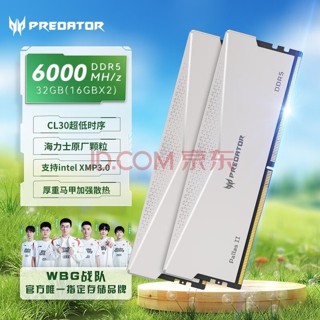 곞ӶߣPREDATOR32G(16G2)װ DDR5 6000Ƶ ̨ʽڴ Pallas II ˪ϵ (C30)ǹ AIԴ洢