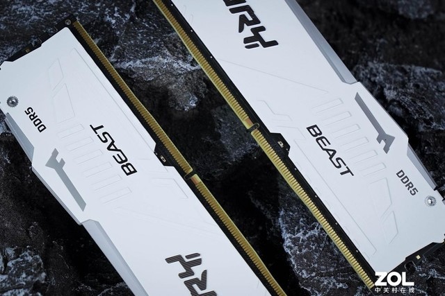 ⡿Kingston FURY Beast DDR5-5600 RGBڴ 128GBϡ