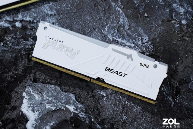 ⡿Kingston FURY Beast DDR5-5600 RGBڴ 128GBϡ