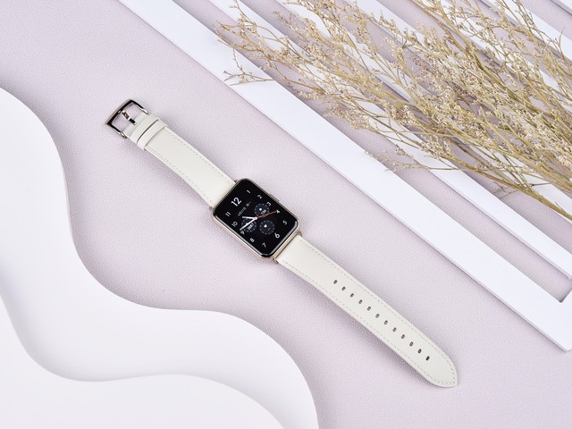 ΪWATCH FIT 2ϵʺЩû