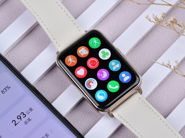 ΪWATCH FIT 2ϵʺЩû