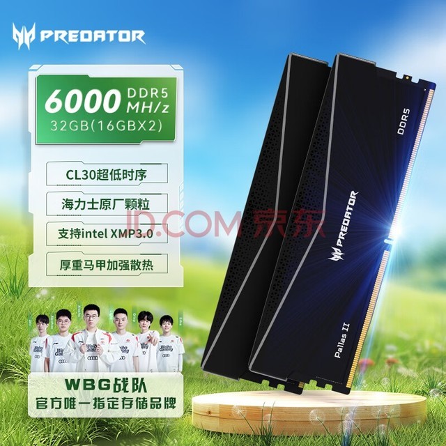 곞ӶߣPREDATOR32G(16G2)װ DDR5 6000Ƶ ̨ʽڴ Pallas II ˪ϵ(C30)ʯҫ AIԴ洢