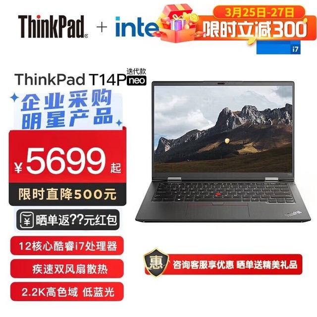 ޡThinkPad T14PʼǱԣᱡ칫