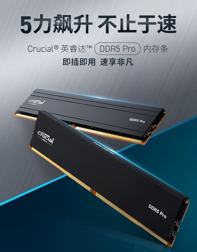 售价对标DDR4！美光英睿达Pro系列马甲内存上架：DDR5-5600 16G*2，699元