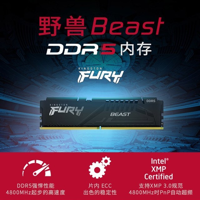 ޡֵʿ DDR5 6000 32GBڴ799Ԫ
