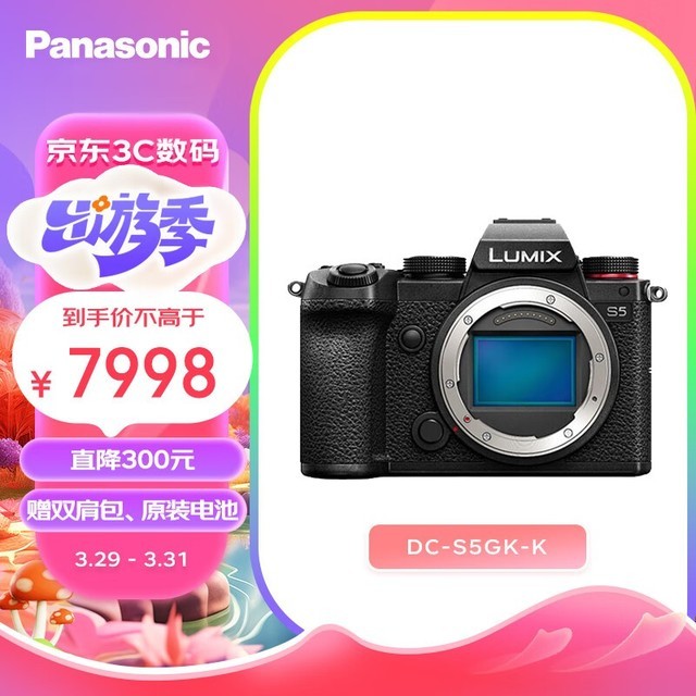  Lumix S5