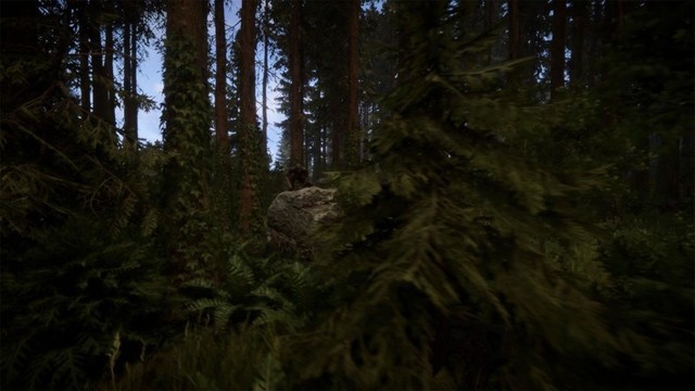 RTX 4080冰龙爽玩恐怖生存模拟《森林之子》