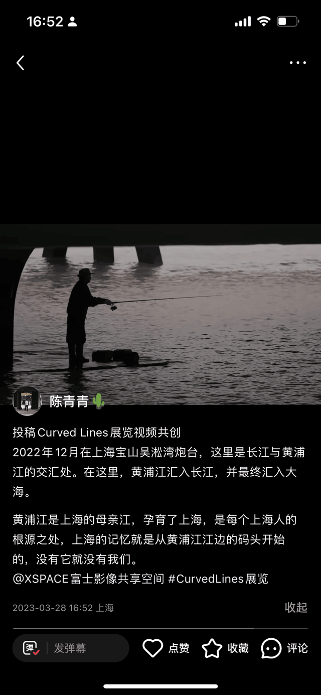 Curved Linesչ