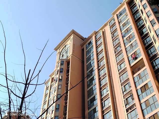 X系列的颜值里程碑,荣耀X40民间测评,千元曲面巅峰之作