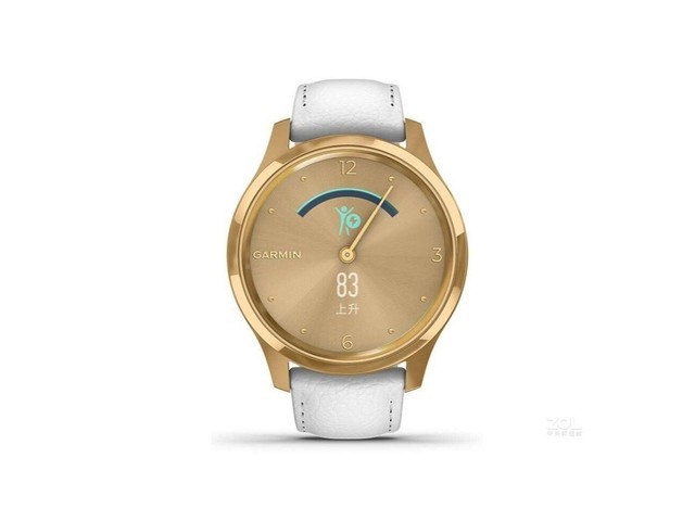  GarminMove Luxeɫ/ɫƤ