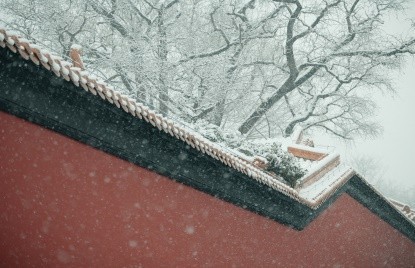 Ӿʢ磡ӰGOVСƷعˣ
