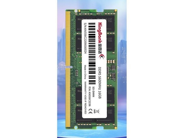 ٴ ʼǱڴ DDR5 5600 16GB