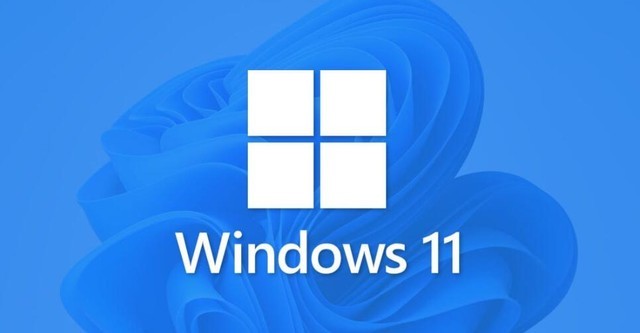 屧ԹWindows 11΢Ҫֽ 