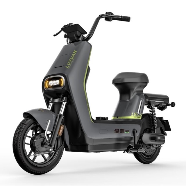 手慢无不买后悔价绿源电动车特价2199元到手