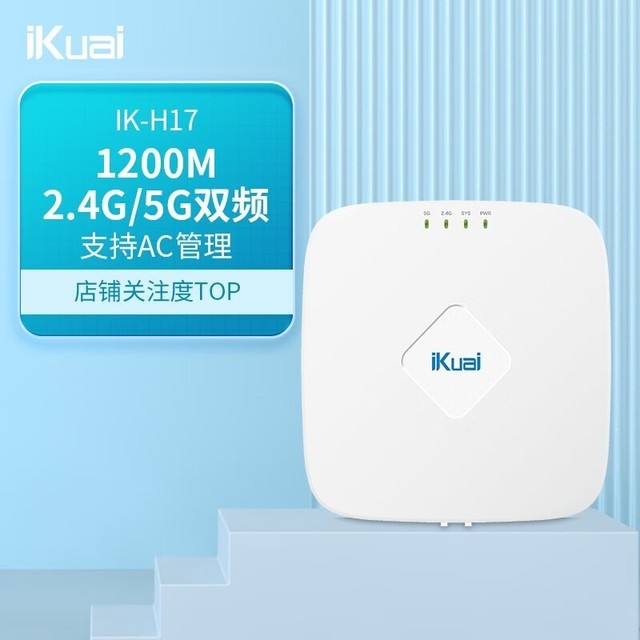 ޡIK-H17˫ƵAP 310Ԫ