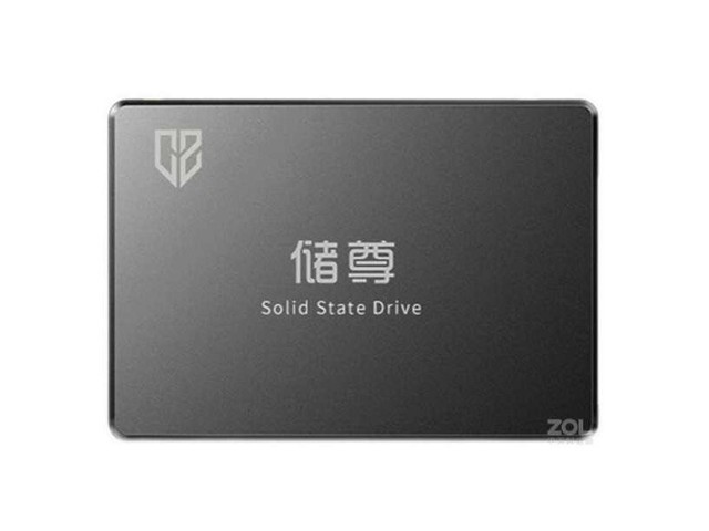  CS101 SATA3256GB