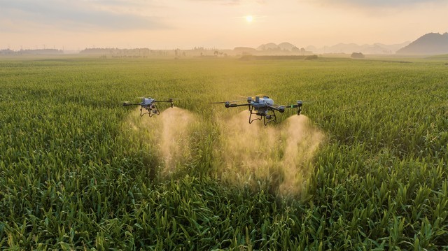 大疆农业发布T60、T25P 农业无人飞机，作业多场景， 场场都出色