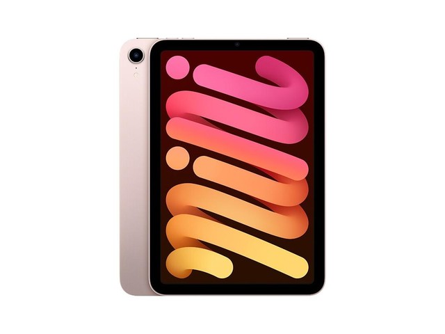 ƻ iPad mini 664GB/WiFi棩
