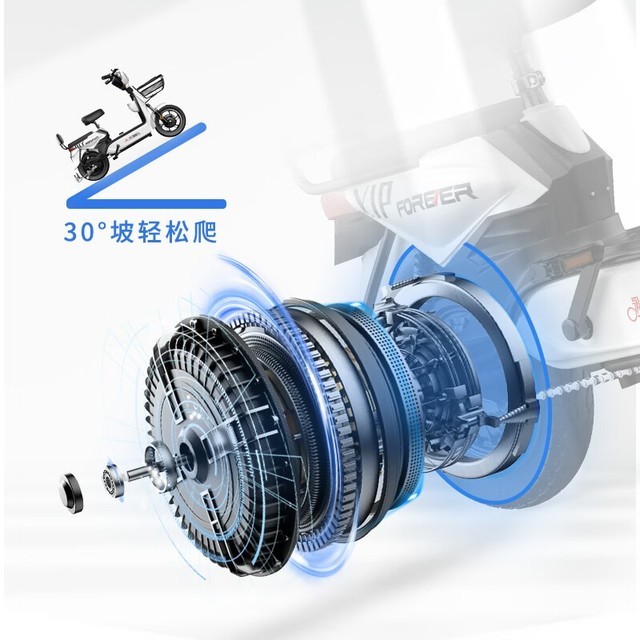 【手慢无】还得是老牌子!能跑50公里得永久电动车低至899元