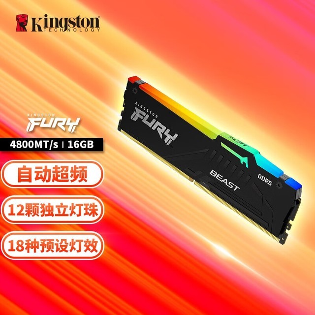 ʿ FURY BeastҰ RGB DDR5 4800 16GB 
