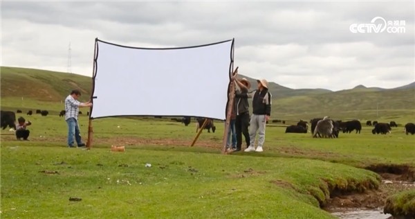 ӱġԭӰԺ ԭViddaɫͶӰ