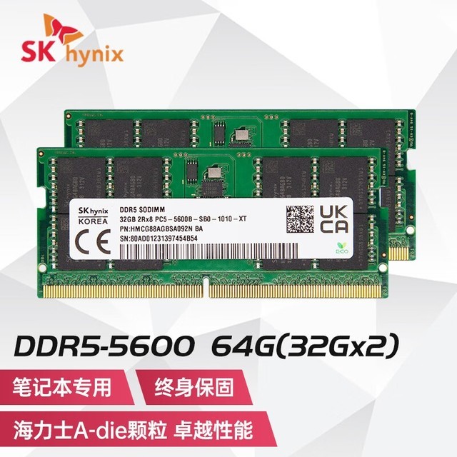 ޡʿDDR5ڴ64GBػݵʱ