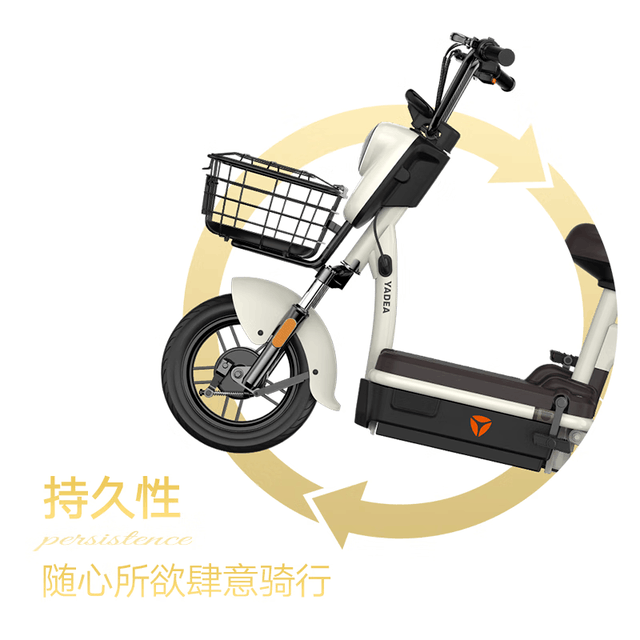 ޡŵPLUS綯г