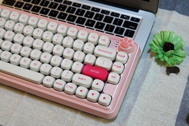 СZ82ܶŮģŮѡ̶ÿ