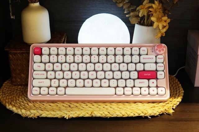 СZ82ܶŮģŮѡ̶ÿ